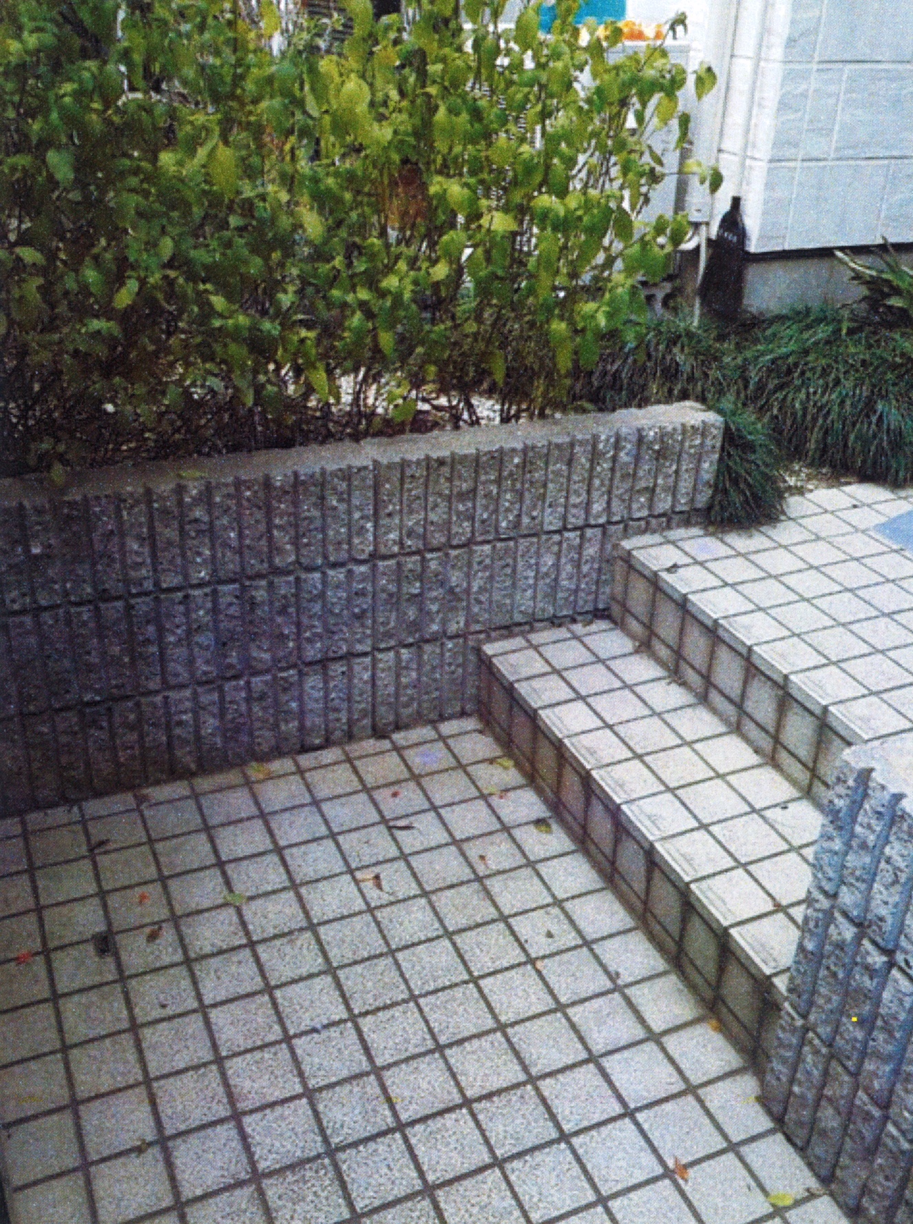 Before